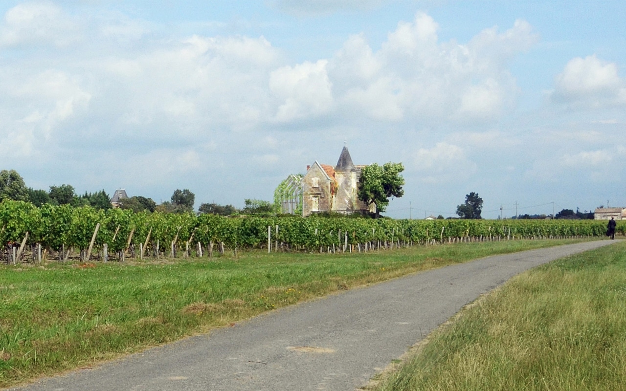 FORTIN . Saint-Emilion